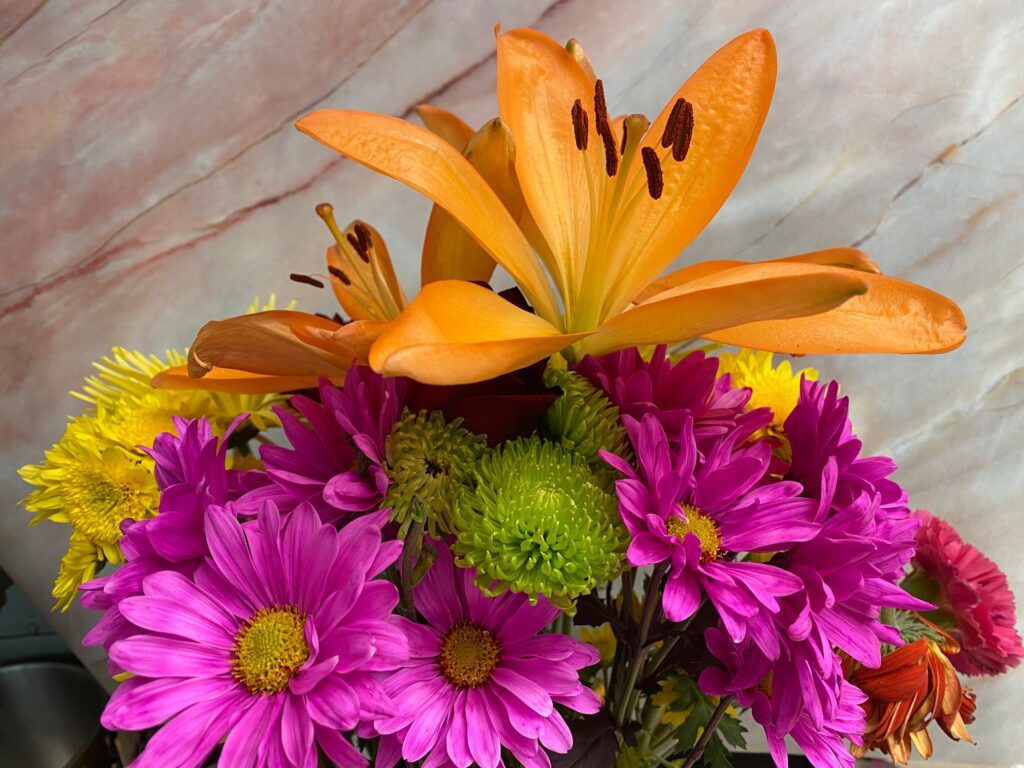 Brightly colored flowers: orange, fuchsia, yellow with green flowers. It brings light to a heavy subject.